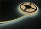 Water Proof LED Flexible Strip Light For Swimming Pool Two Years Warranty